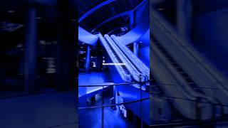 Bumble Bee - Bambee Lyrics Aesthetic Whatsapp Status English Songs Slowed Speed Up