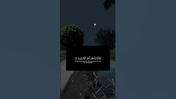 #القرآن_الكريم #اكسبلور #دويتو #اذكار #المصحف #اسلاميات #لايك #تلاوة_خاشعة #duet #اسلامي