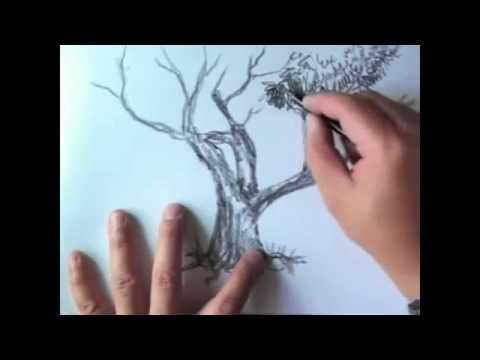 Tren 29 Cara Menggambar Pohon  Kelapa  Dengan Pensil