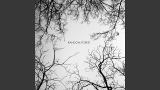 Video thumbnail of "Random Forest - Shadows Fall"