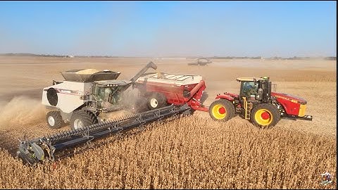 Soybean Harvest 2025 near Washington Court House Ohio | Gleaner Combines