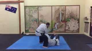 Slow Motion Kwan Nyom Hapkido