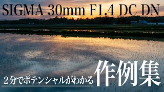 【2分でポテンシャルがわかる】コスパ最強の『SIGMA 30mm F1.4 DC DN』作例集！