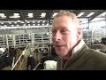 Visit to Sedgemoor Market,cattle, calves, sheep & chickens