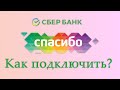 Как подключить Спасибо от Сбербанка?