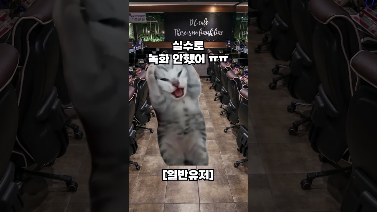 알아서 녹화해주니까! [DOR 도르] 