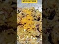 karela ka bharwa#shorts#youtubeshorts #homemade #minivlog #youtube #trending#karela#bharwa