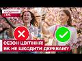СЕЗОН САКУР ТА МАГНОЛІЙ! Як зробити фото із квітучим деревом і не нашкодити йому?