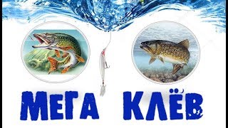 К зимней рыбалке готовы! Мега запуск щуки на платный пруд базы отдыха подмосковья Ихтиолог. К зимней рыбалке готовы! Мега запуск щуки на платный пруд базы отдыха подмосковья Ихтиолог.