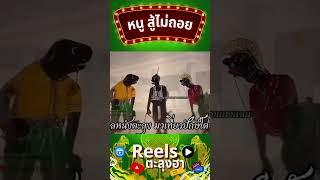 หนูสู้ - หนังตะลุงตลก