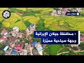 أهوار محافظة جيلان الإيرانية وجهة سياحية ونظام بيئي فريد يواجه الجفاف أهوار محافظة جيلان الإيرانية وجهة سياحية ونظام بيئي فريد يواجه الجفاف
