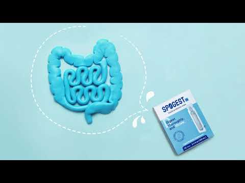 SpoGest-IB Commercial Video