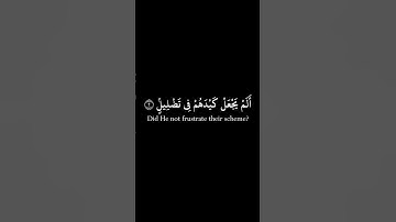 Surah Al-Fil  Black Chroma |  سورة الفيل خلفية سوداء