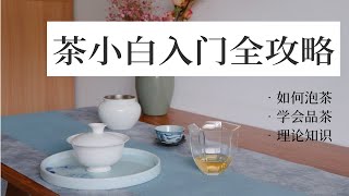 新手茶友必看｜最全茶学入门攻略｜泡茶品茶识茶（建议收藏）