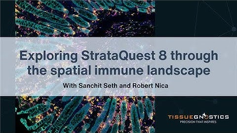 Explore StrataQuest 8 Through the Spatial Immune Landscape