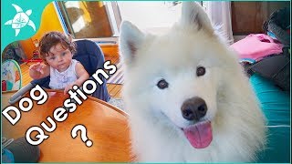 Living on a Boat with a Dog. What is it like? How did you train the dog? Where does she.. Living on a Boat with a Dog. What is it like? How did you train the dog? Where does she..