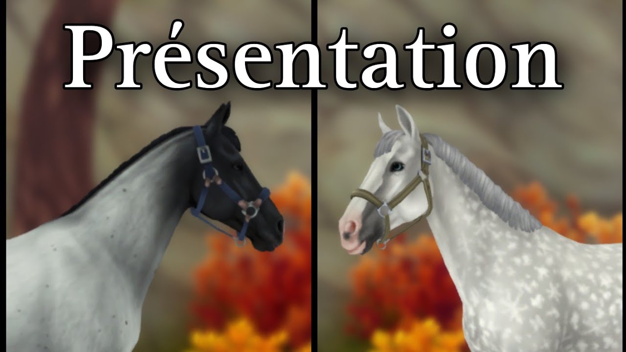 {RP SSO} Présentation / Idéal et Jacadi - YouTube