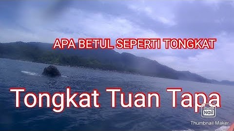 LIHAT TONGKAT TUAN TAPA DI DASAR LAUT TAPAK TUAN ACEH SELATAN