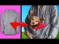 Testing Viral DIY Life Hacks and Crafts for Dogs!  Sweatshirt Hack Works | PawZam Dog