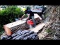 Felling a big pine tree & milling slabs with a portable Chainsaw Mill