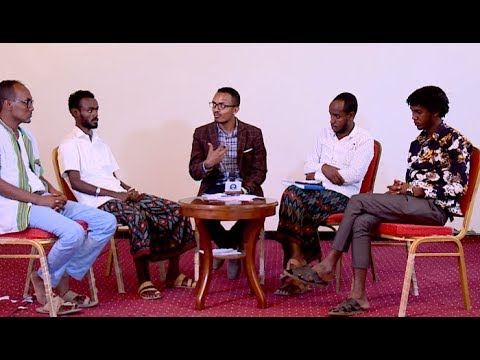 ቪዲዮ: አስገድዶ መድፈር እንደ አረንጓዴ ፍግ: የክረምት እና የፀደይ አስገድዶ መድፈር እንዴት እንደሚዘራ? በመከር ወቅት ማመልከቻ ፣ ለመቆፈር ምክሮች