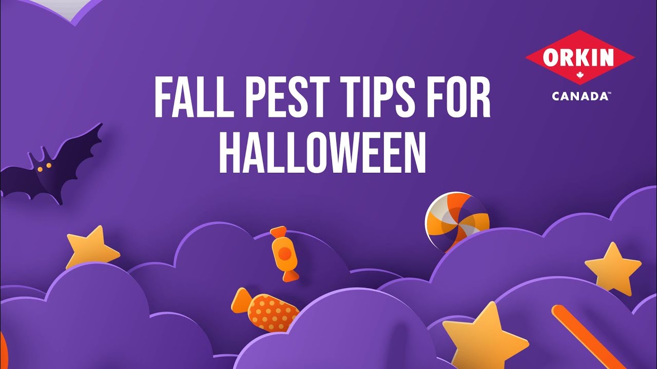 Fall Pest Tip #1 - Celebrating a Pest Free Halloween | Orkin Canada