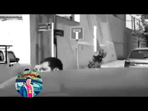 موال حزين هيه قسمة وانت مامقسوملي اشترك بالقناه وفعل زر الجرس ليصلك كل ماهوه جديد