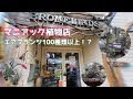 vlog【BROMELIADS】マニアック　エアプランツ100種類以上  流木&エアプランツ専門店（東京　奥沢）