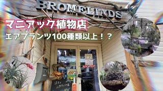 vlog【BROMELIADS】マニアック　エアプランツ100種類以上  流木&エアプランツ専門店（東京　奥沢）