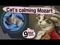 猫が好きな高周波音楽「厳選モーツァルト」 猫が安らぐ | 猫のお留守番のための高波動｜猫の不安を取り除く Healing Frequency.