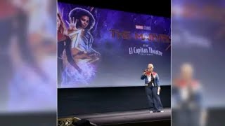 DISNEY INVESTOR NELSON PELTZ CRITICIZES WOKE STRATEGY OF  BLACK PANTHER \& MARVEL FILMS!? EPHESIANS 4