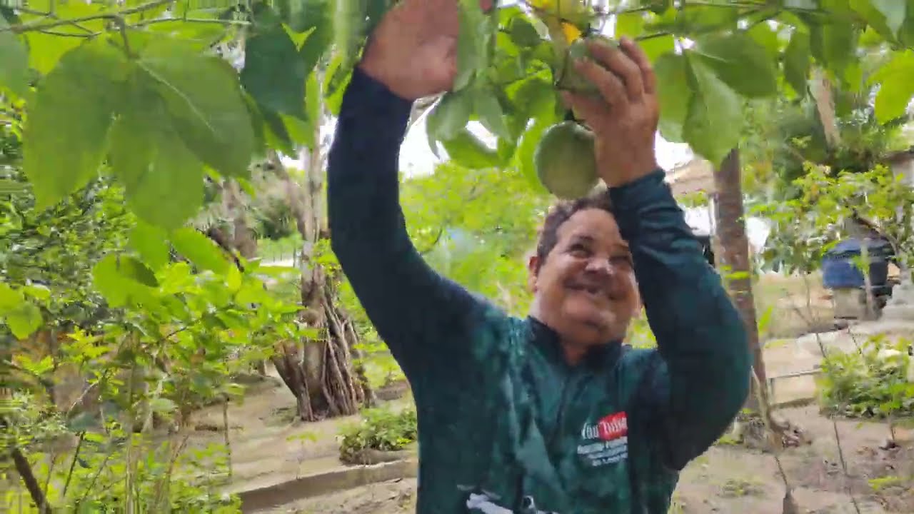Chácara à venda em roçadinho Catende PE 120 mil reais 