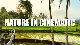 Nature In Cinematic