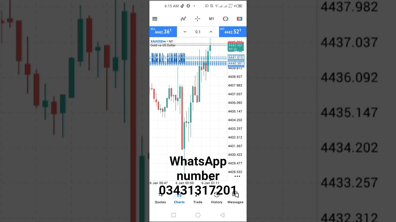 I am forex trading I am account manager