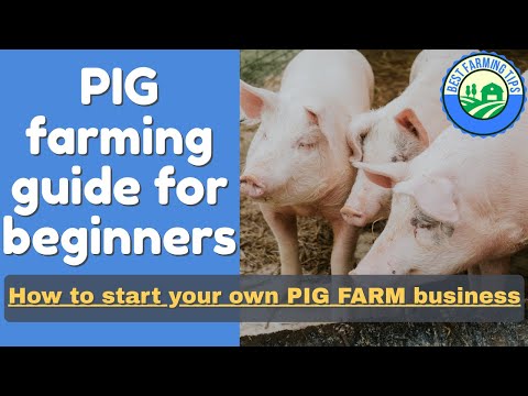 Video: Làm thế nào để xây dựng một Pigpen: Các yếu tố cần thiết của Hog Hog