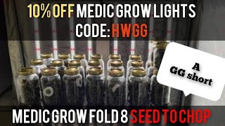 Medic Grow Fold 8 💢 Seed To Chop yield