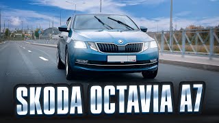 Skoda Octavia A7  лучшая машина за свои деньги!