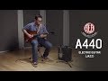AEA A440 - Electric Guitar (jazz) - Listening Library