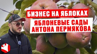 Бизнес на яблоках | Яблоневые сады Антона Пермякова | КУЛЬТИВАТОР