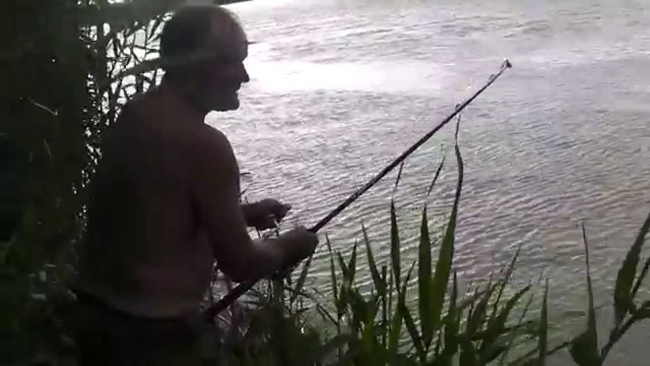 Река нива рыбалка