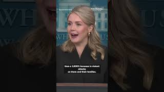 White House responds to Mamdani ICE video