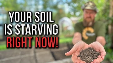 These 5 Winter Tasks Transform Your Soil by Spring