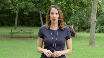 Your South Florida - Web Promo