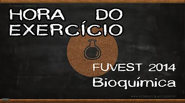 Como o organismo sabe a sequência exata de aminoácidos de uma proteína a ser sintetizada?