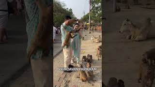 Vrindavan Parikrama Marg Vrindavan Banke Bihari