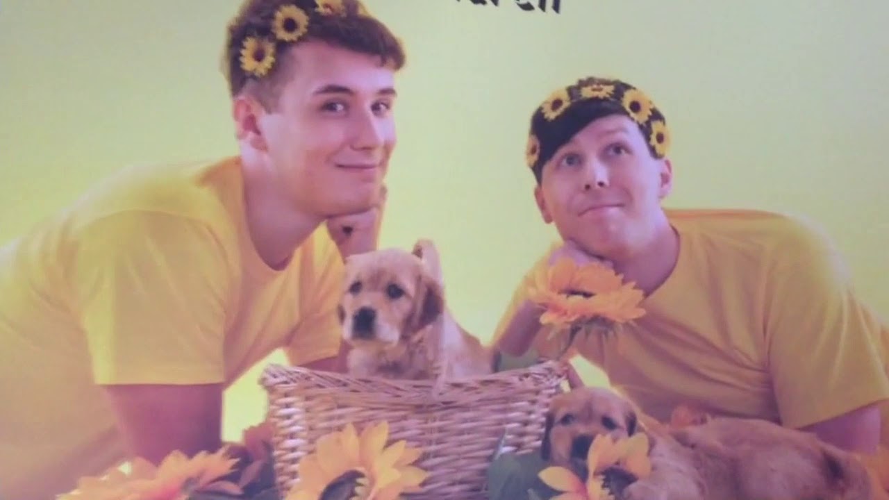dan and phil dog calendar dan and phil dog calendar