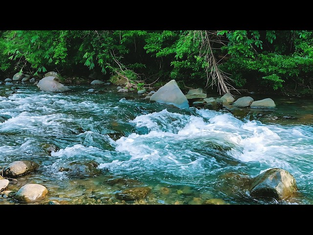 Soothing Natural River Sounds 🍃 Forest White Noise for Relaxation