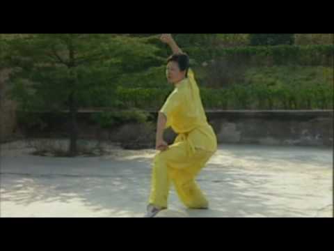 Wushu Chang Quan Yi Lu  初级长拳一路
