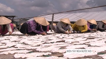 Phóng Sự Miền Tây 2017 | MIỀN TÂY MÙA NƯỚC Nổi : Vương quốc mắm Tập 29