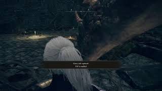 can 4 idiots beat  [ELDEN RING] randomized pt 2